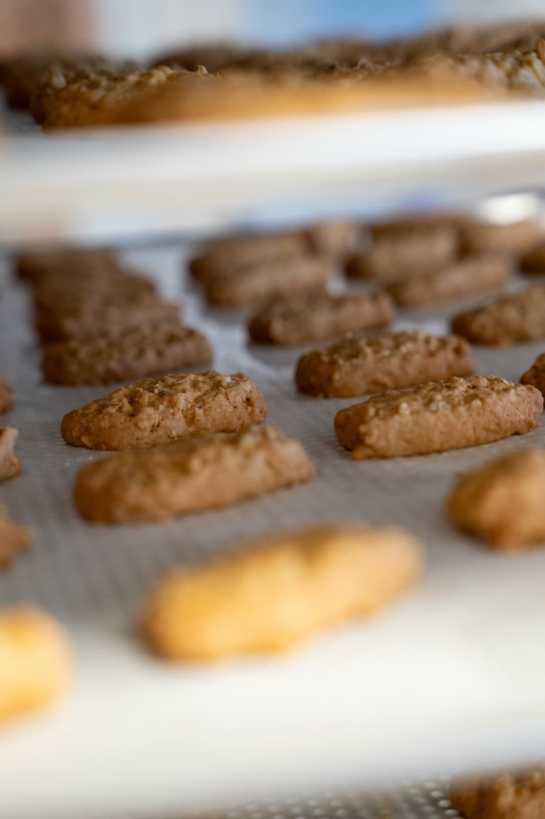 Pas gebakken koekjes op een bakplaat.